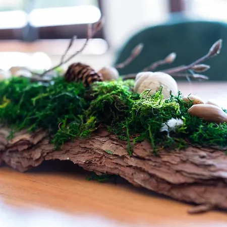 Nature Terminal - Unterwegs Zuhause Апартаменты *