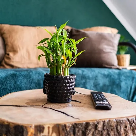 Nature Terminal - Unterwegs Zuhause Апартаменты *